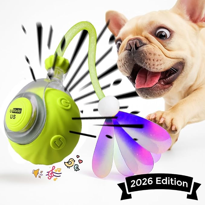 Cat Toys for Indoor Cats – Automatic Kitten Interactive Toy with Speedy Ball Tail as Pet Mental Stimulation - Kittens Small Dogs and Bored Adult Dog Balls to Keep Them Busy 2026 (Green Ball)