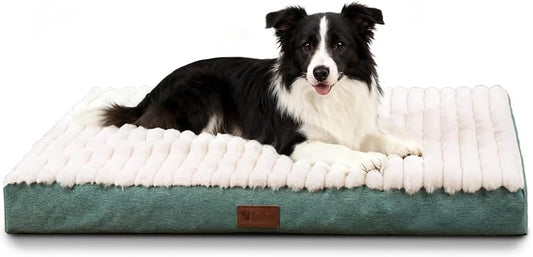 Orthopedic Dog Bed with Firm High-Density Egg Crate Foam,Soft Short Plush Surface Pet Beds,Machine Washable with Removable Cover & Non-Slip Bottom for Medium & Large Breeds (Green, 35"L x 22"W x 3"H)