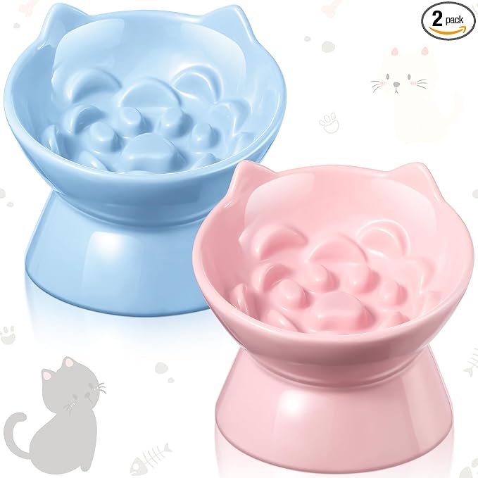 Funnymoom 2 Pcs Ceramic Raised Slow Feeder Cat Bowl, 5.91inch Elevated Cat Slow Feeder Bowl Tilted Anti Vomiting for Dry Wet Food and Water Easy to Clean High Edge(Pink, Blue)