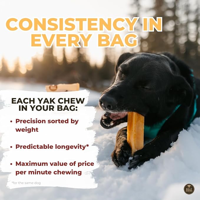 Bully Bunches Mega Authentic Yak Cheese Himalayan Chews for Giant Dogs & Super Aggressive Chewers - All Natural Dog Treat Dental Chews, Made with Real Yak Milk - Lactose & Rawhide Free (2 PK)