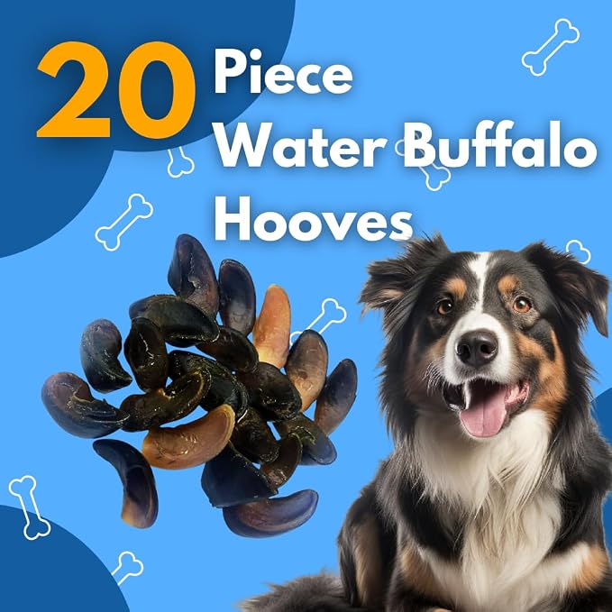 20 Pack 100% Natural Free Range, Grass Fed Water Buffalo Hooves. NO Additives, Preservatives, Hormones or Antibiotics