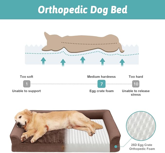 COZY KISS Orthopedic Large Dog Beds, Bolster Pet Couch with Waterproof Lining, Egg Crate Foam Sofa for Pets Up to 65 lbs, U-Shaped, 36x27x6.5 inch, Brown