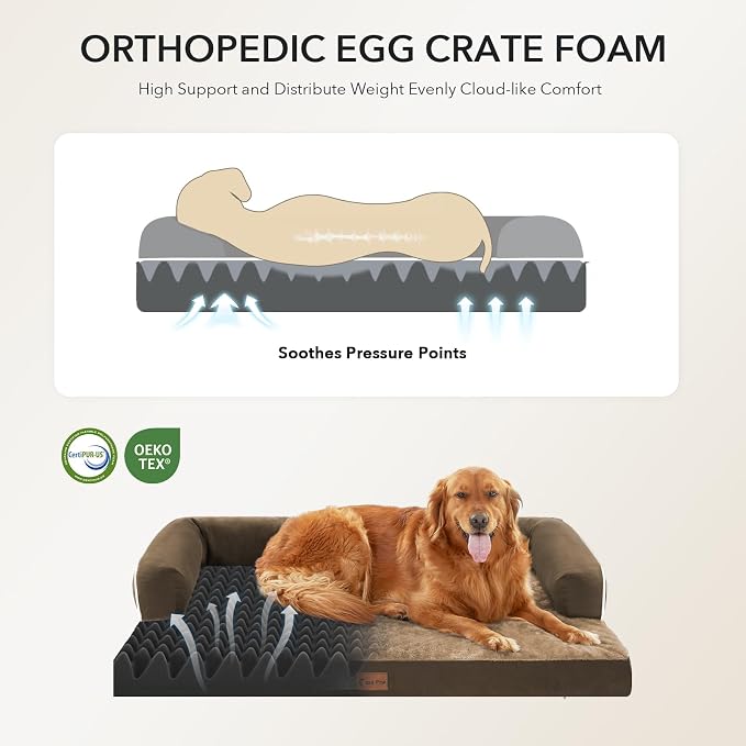 Orthopedic Dog Beds for Large Medium Sized Dogs, Waterproof Egg Crate Foam Large Dog Couch Beds with Comfy Bolster 36x27Inch, Washable Pet Beds with Removable Cover, Brown