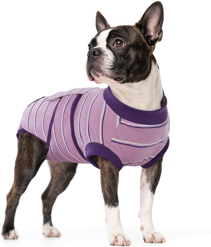 Kuoser Dog Surgery Recovery Suit, Soft Breathable Dog Recovery Suit for Female Spay Male Nueuter, Anti Licking Puppy Onesie Pet Surgical Suit for Dogs Abdominal Wounds Skin Disease, Purple Strips M