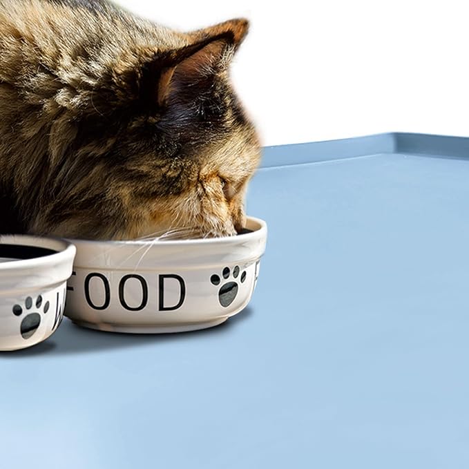 Dog Food Mat,Silicone Waterproof Food Tray,Non Slip Pet Bowl Mats Placemat,0.6" Raised Edge,Suitable for Most Small and Medium Sized Pets,18.5" x 11.5"