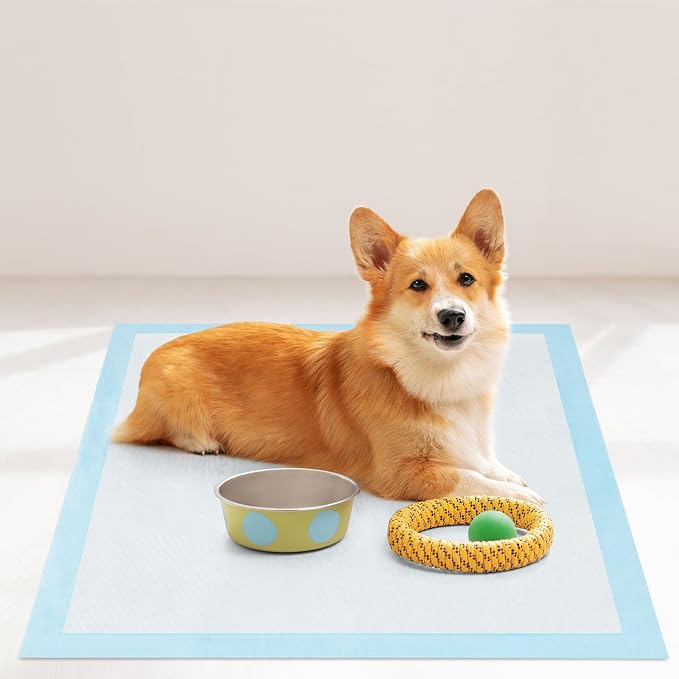 PETSITE Dog and Puppy Pee Pads, 6-Layer Leak-Proof Super Absorbent, Quick-Dry Surface, Indoor Outdoor Disposable Potty Training Pads, Blue & White (30" x 30" (150 Count))