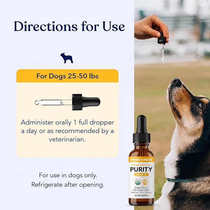 Honest Paws Hemp Oil for Dogs - Natural Hemp Seed Oil Drops Rich in Omega 3 6 9 - May Help Support Calm Behavior, Physical Comfort & Overall Wellness - Made in USA