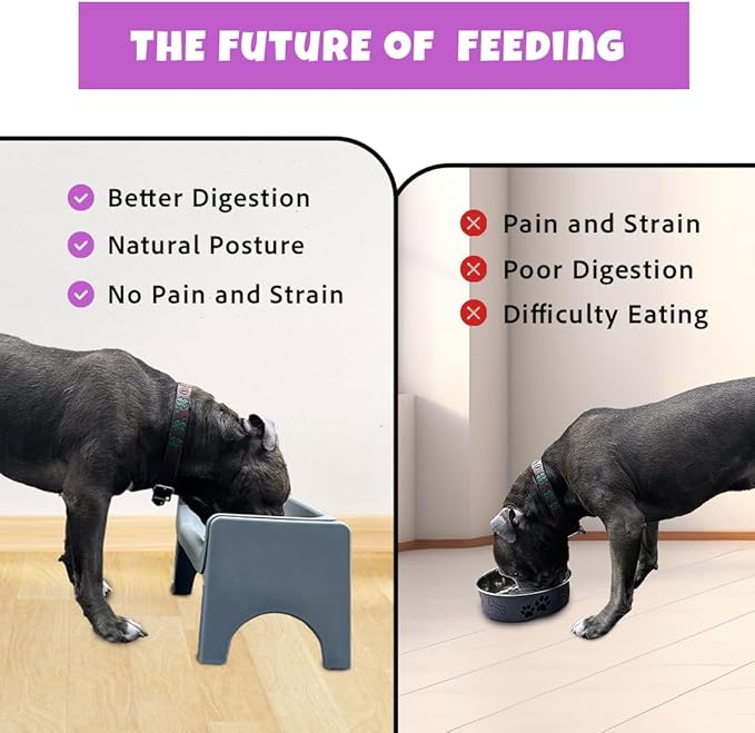 Fluff Trough Elevated Dog and CAT Feeder, Black, X-Large