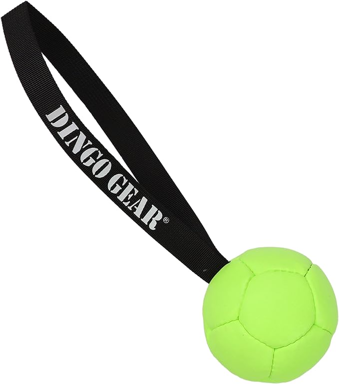 DINGO GEAR WWW.DINGOGEAR.COM 1977 Set Faux Leather Ball with Pump for Dog Training, as Reward for Fetch tug of war, for Strong Dog, Handmade, 3in Green Z30030