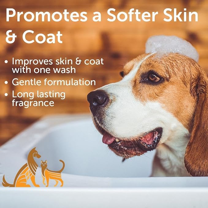 Nootie Moisturizing Warm Vanilla Cookie Pet Shampoo - 1 Gallon Size (G11WVC)