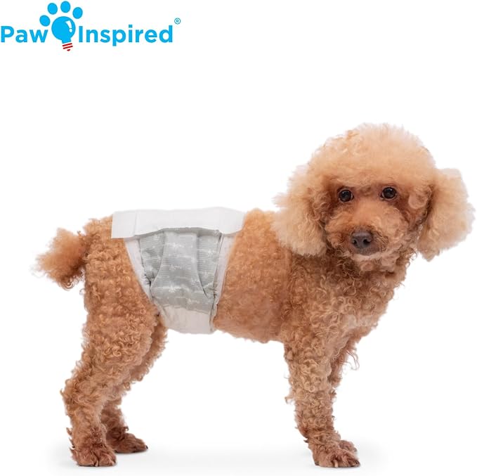 Paw Inspired Male Dog Wraps, Disposable Dog Diapers | Belly Bands for Small, Medium, Large Dogs (32 Count, Size Small)