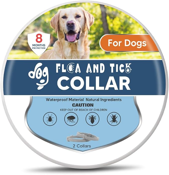 Collar for Dogs, Large Dogs Flea Collar (Pack of 1)