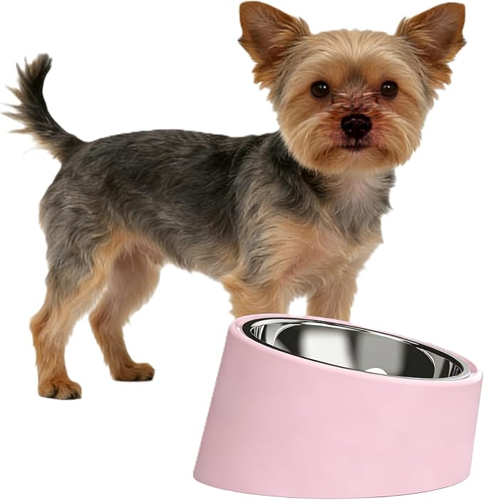 Pink Elevated Dog Bowl Set - 15° Tilted Slow Feeder (3 Sizes & 7 Colors), Anti-Choking Design with Non-Slip Base - BPA-Free for Small/Medium/Large Dogs (Pink, l)