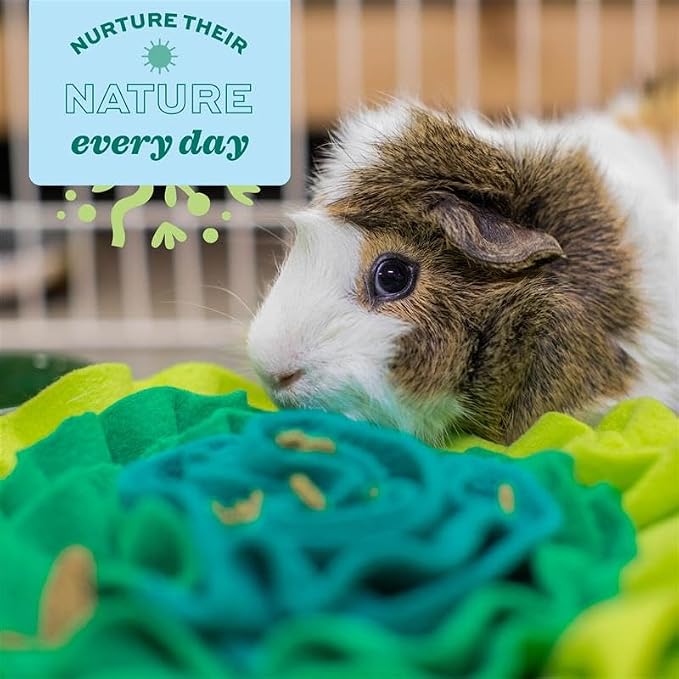Oxbow Enriched Life Lettuce Forage Mat, Foraging Mat for Rabbits, Guinea Pigs, and Hamsters, Promotes Mental Stimulation and Foraging, Safe Enrichment Accessory, Small Pet Food Puzzle