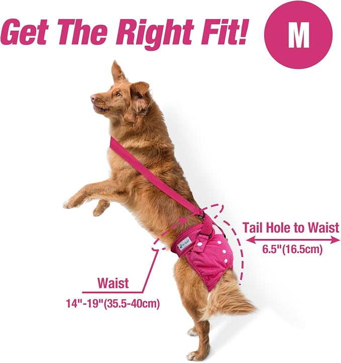 Pet Soft Dog Diapers Female with Suspenders, 3 Pack Reusable Female Dog Diapers for Heat, Dog Period Panties for Doggie in Cycle(Medium, Berry Mix)