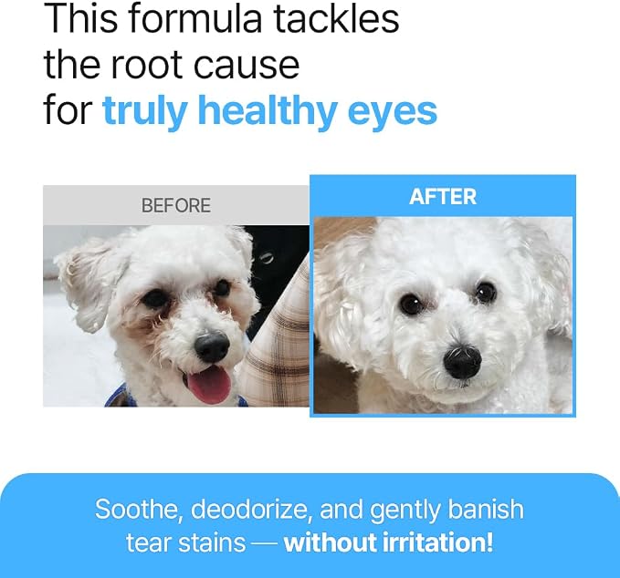 Breezytail PetO’Cera Q-Eye, Eye Stain Remover for Dogs and Cats, Removes Tear Stains, Discharge, Soothes, Neutralizes Odors, Vet Approved, Korean Pet Skin Care (4 fl oz/120ml) (4 fl oz)
