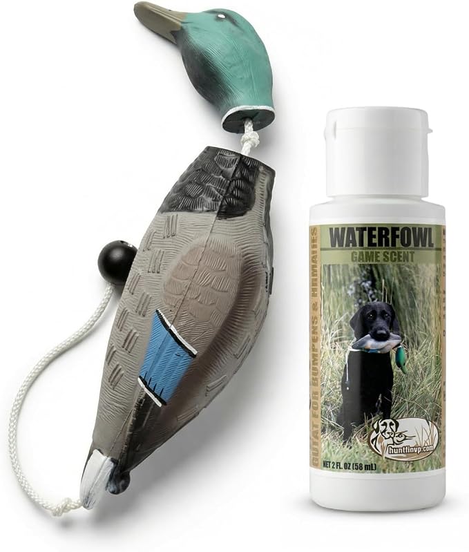 Ultimate Waterfowl Dog Training Scent - with Realistic Mallard Training Dummy Included for Effective Bird Dog Training