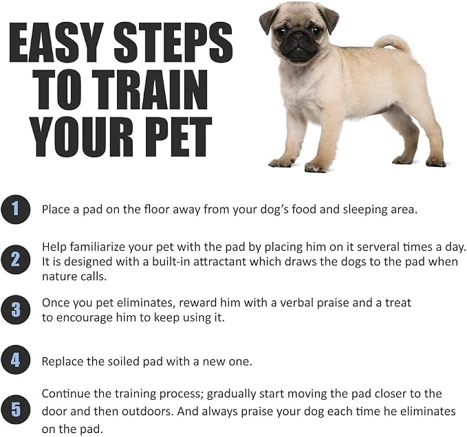 BV Charcoal Puppy Pads XL 320 Count 34"x28" - Leak-Proof Pee Pads for Dogs with 6-Layer Absorbent Design & Built-in Attractant - Dog Pad Extra Large with Charcoal for Odor Control - for Large Dogs