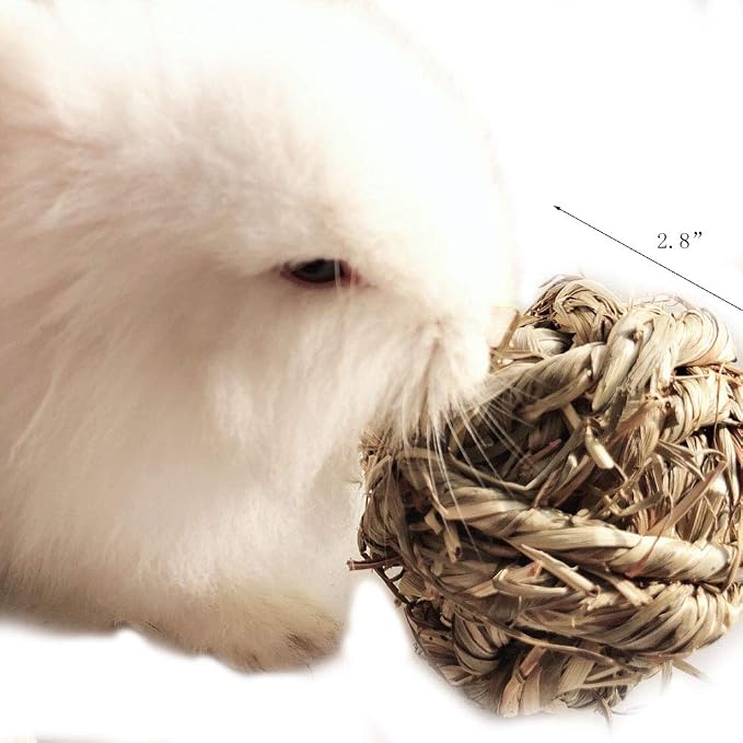 Hamiledyi Rabbit Chew Ball Timothy Grass Grinding Small Animal Activity Play Chew Toys for Bunny Rabbits Hamster Guinea Pigs Gerbils