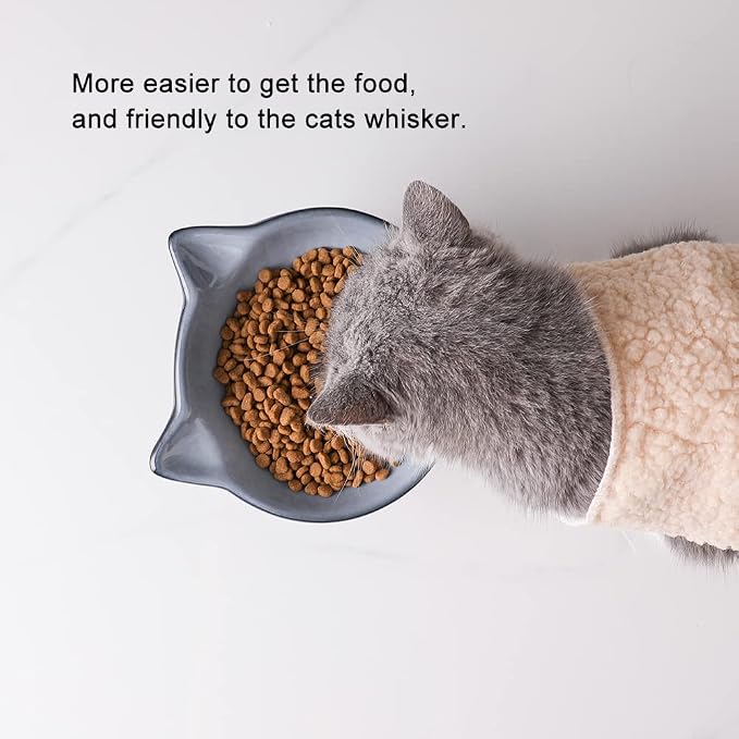 Nihow Elevated Cat/Dog Bowls: 6.25 Inch Ceramic Raised Cat Food & Water Bowl Set for Protecting Pet's Spine - Feeding & Watering Supplies for Cat/Small Size Dog - Elegant Gray (6.8 OZ /1 PC)
