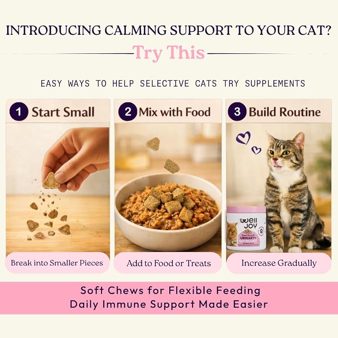 New! WellJoy Cat Supplement Urinary+ GutBoost | Cat Health Supplement | Supports Urinary Tract Health | Dual-Benefit GutBoost Formulation | Vet Formulated | USA Made | Chicken Flavor | 90 Soft Chews