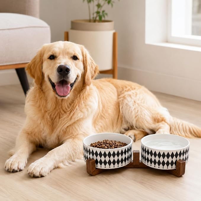 Petygooing Ceramic Dog Cat Bowl Set with Stand, Pet Food and Water Dishes,Small Dog Bowls Anti-Slip Set of 2 Cat Bowls-Pet Food Bowl- Pet Dish Small Medium Size Pet (28OZ/6.1 in) Black Rhombus