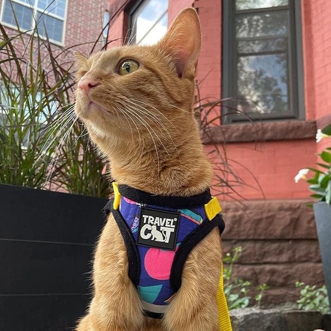 Travel Cat x Argylle Replica Backpack Carrier and Travel Cat & Stray Cat Harness and Leash Set