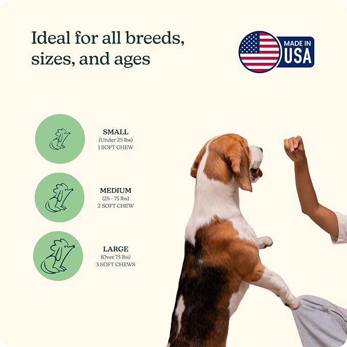 Reggie Skin & Coat Supplements for Dogs | Omega-3 Fish Oil & Vitamin E for Itchy Skin Relief, Shedding & Shiny Coat | Natural Dog Skin & Coat Chews | Vet-Approved & Made in USA | 60 Soft Chews