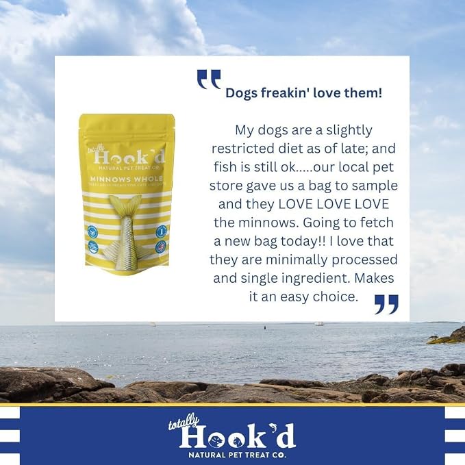 Totally Hook'd Freeze‑Dried Single‑Ingredient Whole Fish Treat, High‑Protein Omega-3, Raw, Great for Training and Picky Eaters, Snack for Dogs & Cats (1 Ounce Bag, Whole Minnows, 3 Pack Bundle)