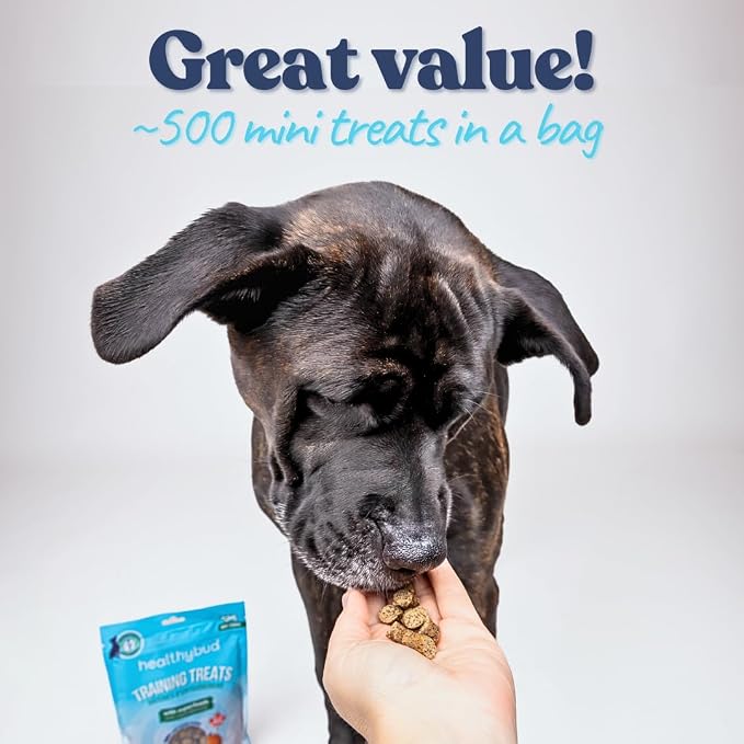 healthybud Mini Dog Training Treats - Beef Liver Soft Trainer Bites, 500+ Bits, 1 kCal per Bite, 6.5oz, Reishi, Lion’s Mane, Salmon Oil, Puppy Chews (3 Pack Beef)