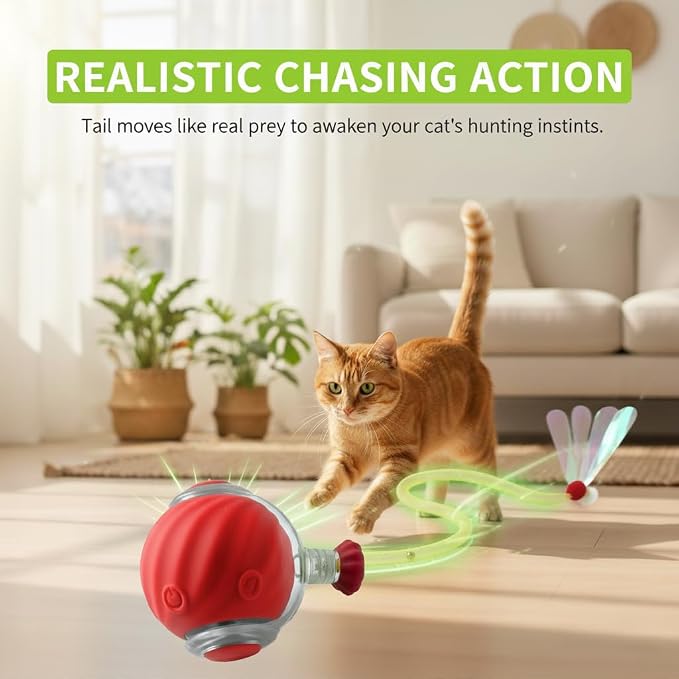 Interactive Cat Ball Toy with Tail for Indoor Cats Kittens – 2026 - Automatic Smart Rolling Motion Pet Exercise for Small Dogs | Rechargeable Motion-Activated, USB Charging Self-Play (RED)