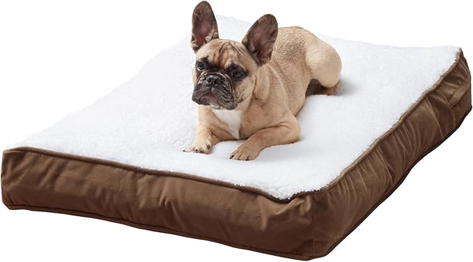 Happy Hounds Daisy Deluxe Supportive Sherpa Dog Bed, Small (36 x 24 in.), Mocha