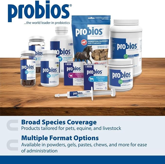 Probios for Dogs Soft Chews, Daily Probiotic Supplement for Gut Health, Digestion and Immune Support Medium and Large Breeds, Chicken Liver Flavor, 8.46oz 60 Chews (Pack of 2)