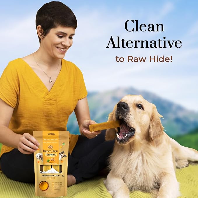 Dogsee Himalayan Yak Cheese Dog Chews with Turmeric/Curcumin (Medium - 2 Chews), All Natural Long Lasting, Anti-inflammatory, Odorless High Protein Chew,60% Protein Dog Treats for Active Chewers