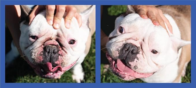 Squishface Wrinkle Paste - 2 Pack - Bulldog, French Bulldog, Pug, English Bulldog – Cleans Wrinkles, Tear Stain, Tail Pockets, and Paws – Anti-Itch Tear Stain Remover & Bulldog Wrinkle Cream, 2 Oz.