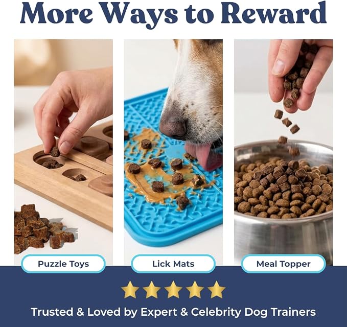 healthybud Mini Dog Training Treats - Beef Liver Soft Trainer Bites, 500+ Bits, 1 kCal per Bite, 6.5oz, Reishi, Lion’s Mane, Salmon Oil, Puppy Chews (Beef)