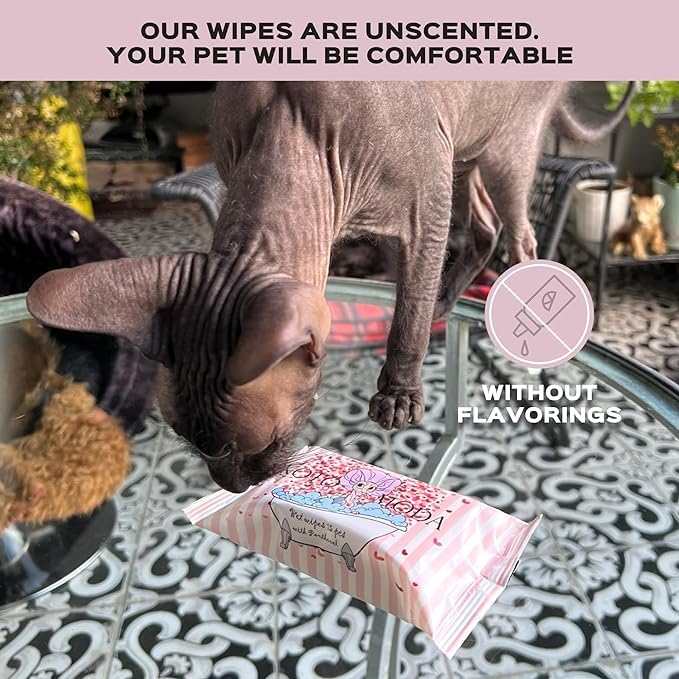 Wet Wipes with Panthenol for Sphynx & Shorthair Cats — 3Pack/45Count Pack, Hypoallergenic Dander & Odor Grooming Wipes