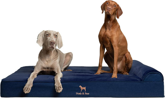 NOAH & PAW Giant Dog Bed XXL 55x45x9.5 Inch, Orthopedic Dog Beds, Eggshell Memory Foam Infused with Cooling Gel, Water Resistant, Machine Washable, Includes Inner Cover (Denim Collection)