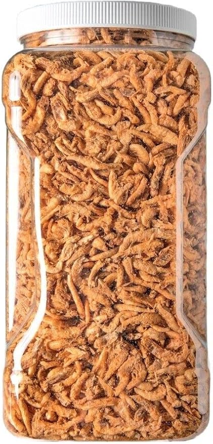 Krill-Freeze Dried Floating Arctic Krill, High in Natural Astaxanthin for Color for All Tropical Fish, Koi, Turtles, Reptiles, Rodents, Cats…1-lb Lg Jar