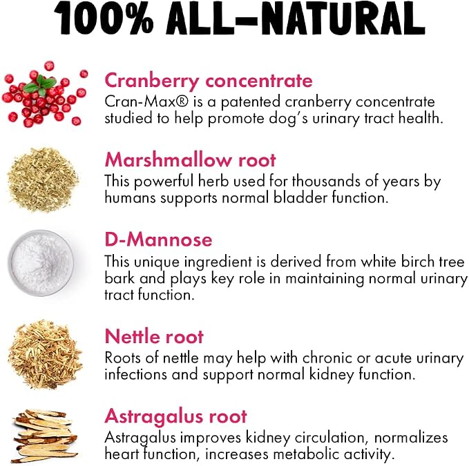 Cranberry UTI Chews for Dogs Bladder Support + D-Mannose Supports Kidney Urinary Tract 30 Chews and Wild Alaskan Salmon Oil for Dogs & Cats 32 oz