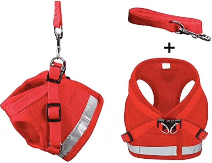 Travel Cat x Argylle Replica Backpack Carrier and Travel Cat & Stray Cat Harness and Leash Set