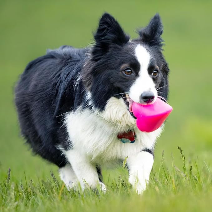 Ruff Dawg Indestructible Dawg-Hart (Heart) Medium 3” – Heavy-Duty Solid Rubber Dog Fetch Toy for Dogs Under 40 lbs – Floats & Crazy Bounce – Made in USA – Assorted Neon Colors