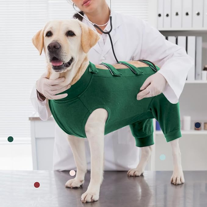 IECOii Dog Surgery Suit, Male/Female Neuter/Spay Recovery Onesie, Cone Alternative, Breathable Cotton & Spandex, XXL-Green, 36 inches