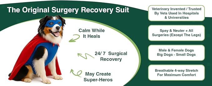 SurgiSnuggly Disposable Dog Diapers Female or Male Dogs, Great Cover for Female Dog Diapers for Heat Cycle and Better Than Dog Suspenders- Wrap Around Legs for Superior Fit S Pink