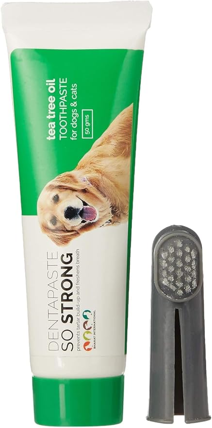 Tea Tree Oil So Strong Dental Care Dentapaste with Brush for Dogs & Cats 50gm