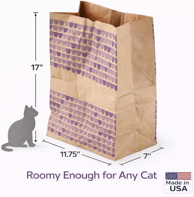 Catnip Infused Crinkly Paper Bag Cat Toys - All Natural & Recycled Materials - Made in USA - Interactive Hide and Seek for Indoor Cats and Kittens - (1-Bag, Catnip)