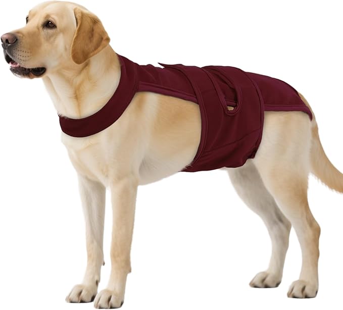 QBLEEV Female Dog Diapers with Adjustable Suspenders – Washable Sanitary Panties for Dogs in Heat or Incontinence, Escape-Proof Reusable Pet Period Underwear Onesie for Small to Large Breeds