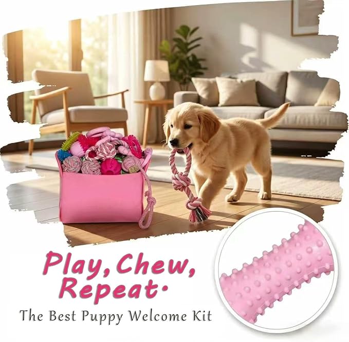 Puppy Toys Set - 20 Pack Pink Dog Chew Toys for Teething Small Breeds - Tough Rope Toys for Puppies, Cute Soft Rubber Toys Bundle with Basket for Girl Pets