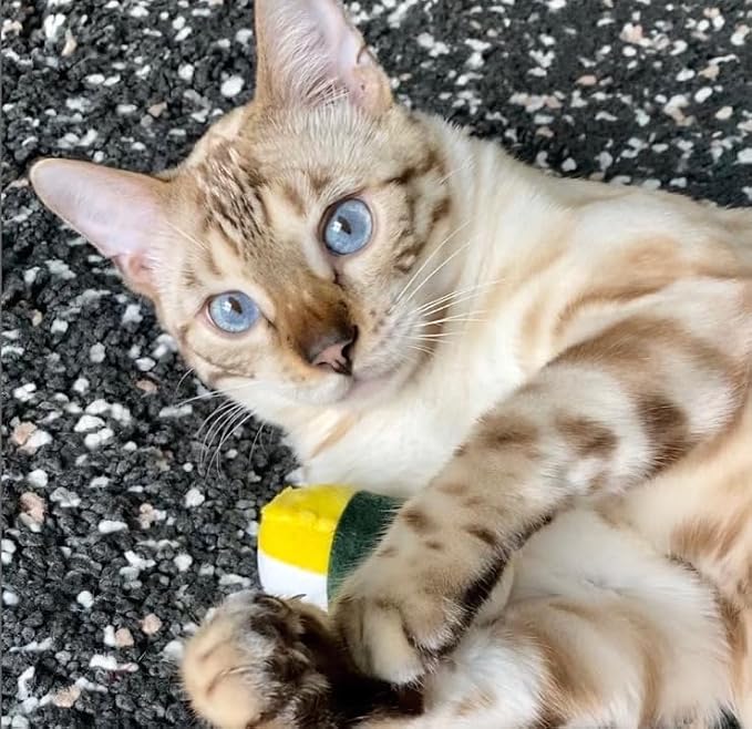 munchiecat Premium Organic Catnip Sushi Toy (1-pc) for Cats, Kittens - USA Made Durable Design for Pouncing, Batting and Play