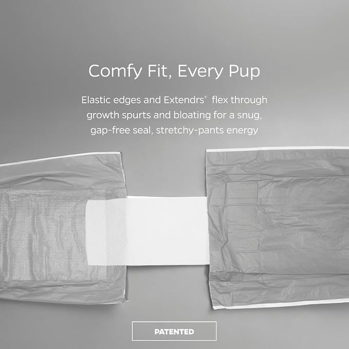 Pet Parents® DiPees® Disposable Belly Bands for Male Dogs + Extendrs®, Male Dog Wraps, Leak Proof, Up to 83% Plant Based, Premium Disposable Dog Diapers Male (Grey, Medium (16-24"), 10ct)